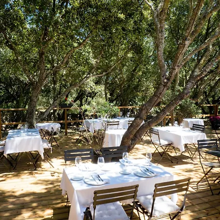 农家乐 Santa Mariana 阿莱奥尔