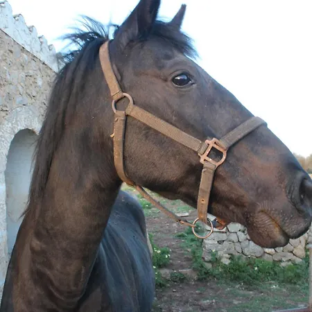 مزرعة للإقامة Santa Mariana