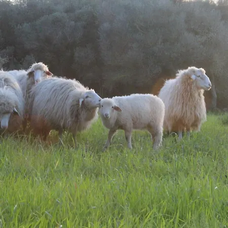 مزرعة للإقامة Santa Mariana *