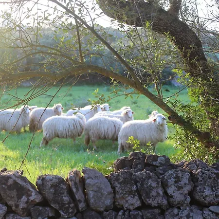 Feriegård Santa Mariana *