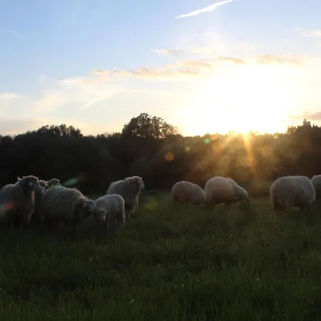 Santa Mariana Feriegård *