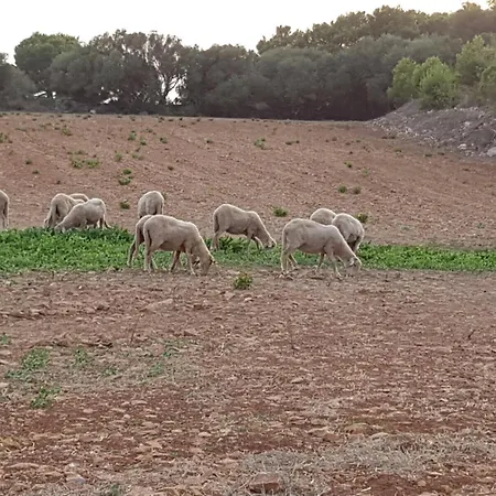 Santa Mariana בית חווה אלאיור
