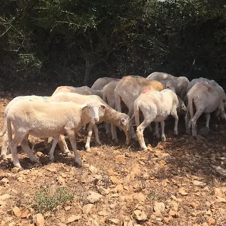 Santa Mariana Alloggio per agriturismo Alaior